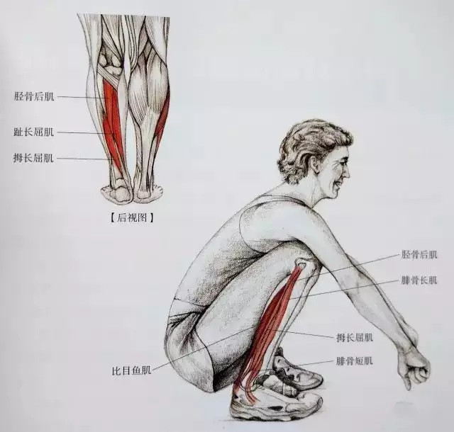 19个小腿拉伸动作，告别粗壮小腿