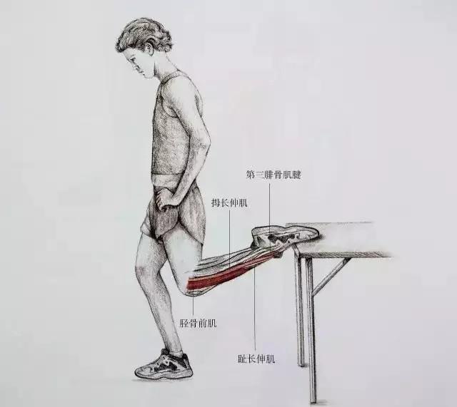 19个小腿拉伸动作，告别粗壮小腿