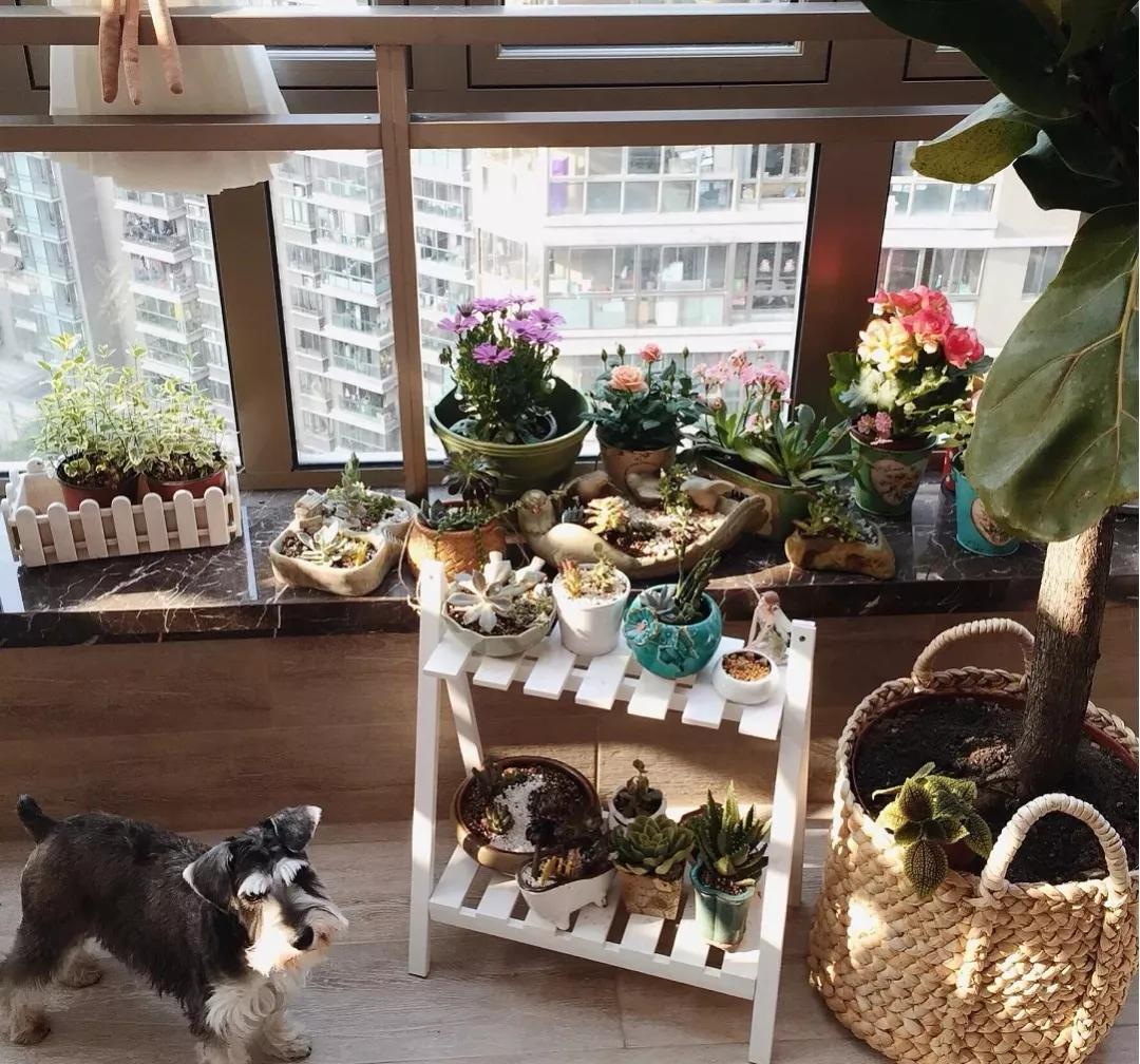 别人的阳台这么美,你却只用来晒衣服?