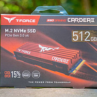 散热片真的有用？十铨T-Force Cardea II 512GB固态硬盘开箱简测