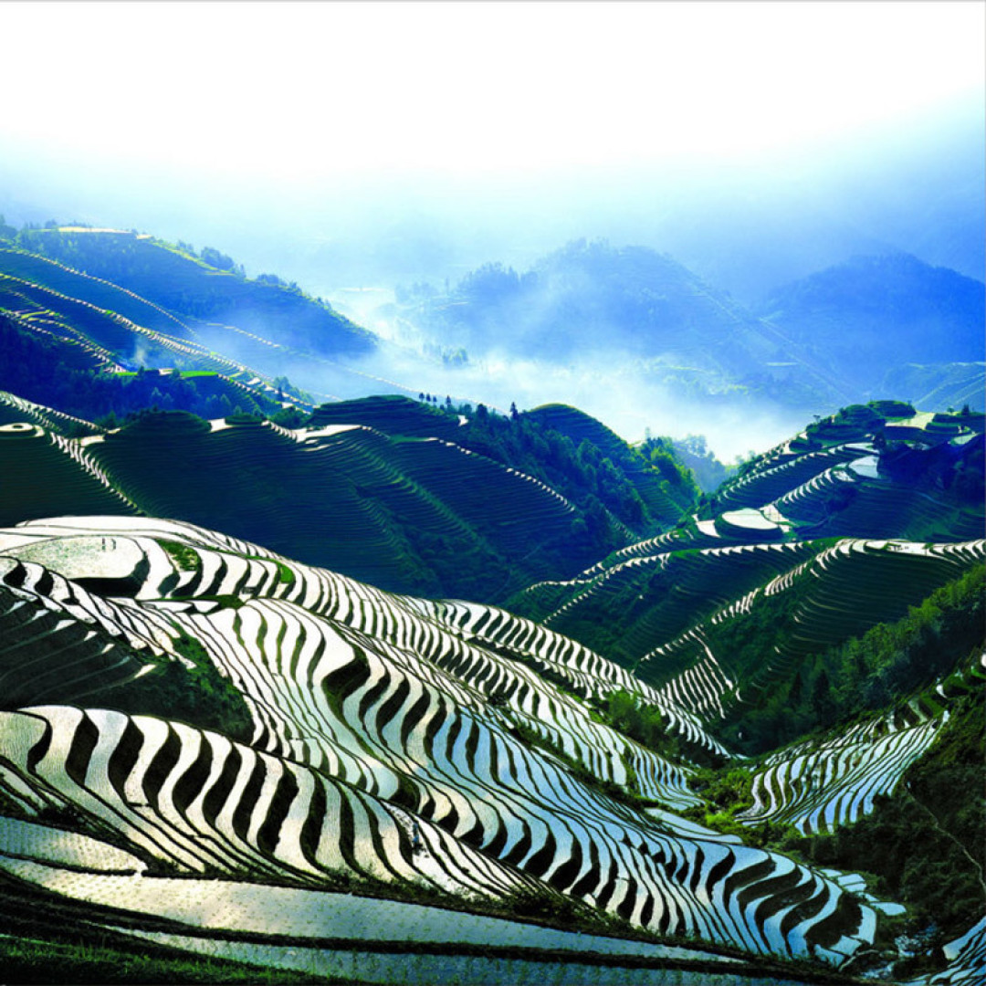 除了坑坑坑坑,桂林有哪些特色值得玩?