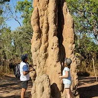 旅游攻略 篇二百零二：去澳大利亚北部旅游，肯定要去里奇菲尔德公园看白蚁“墓碑”啦