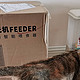 猫奴必备，性价比最高的自动喂食器————尾巴生活食光机Feeder智能喂食器