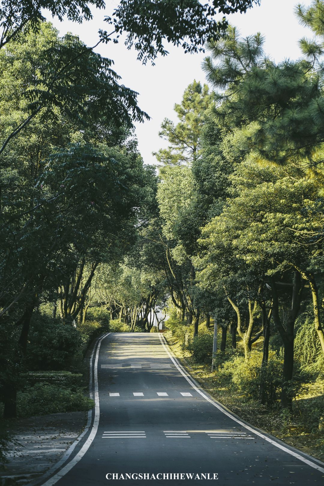 30分钟抵达！近在咫尺的度假圣地，长沙竟藏着这样绝美的“城市森林”~