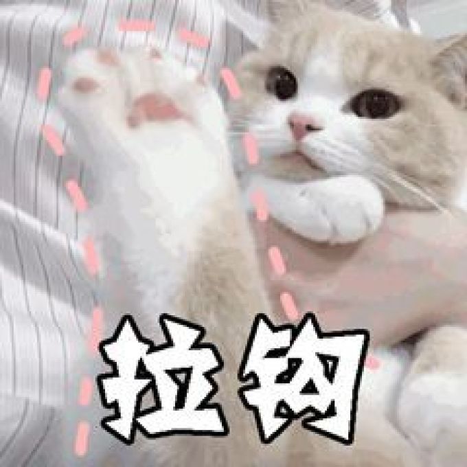 姑姑分享|POLA去皱精华和黑BA眼霜两个月使用测评