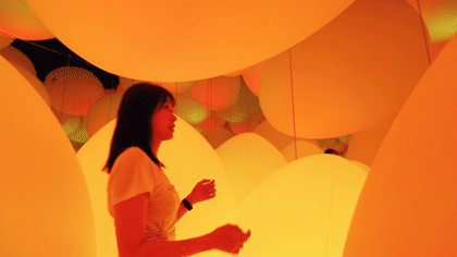 二刷teamLab | 限时特惠，打卡世界级必看的艺术展