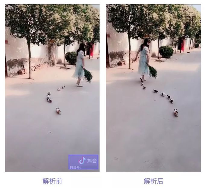 果粉必备!苹果的高效神器!
