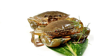 私房菜谱 篇三：来做一道星洲国菜——简单又美味的黑胡椒螃蟹