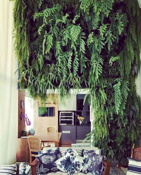 英国博主绿植布置的家,墙面阳台鸡肋地可用的35招创意,保证新手也学得会!