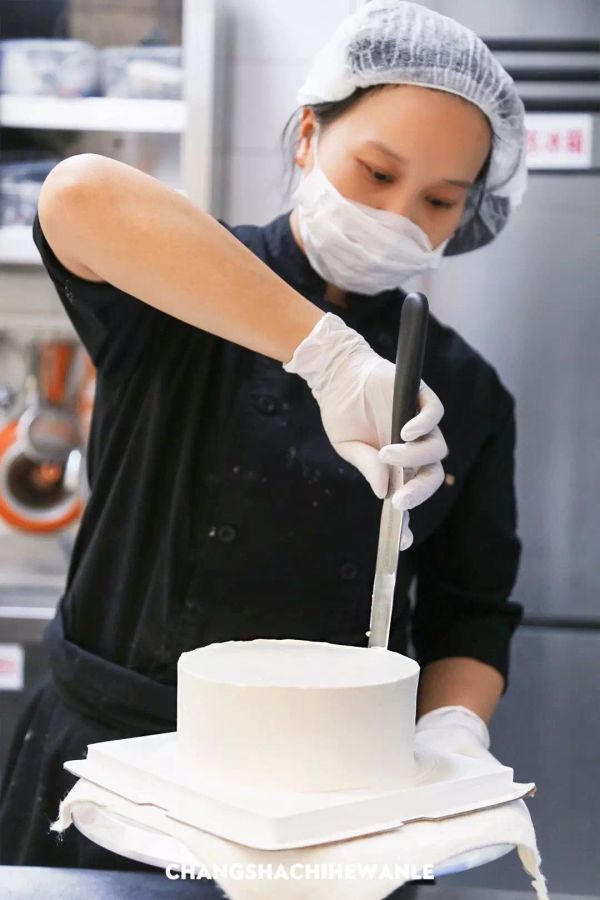 好吃不长肉!泰迪故事无蔗糖欧包惊喜上线,同时get美味与健康!
