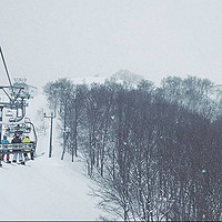 雪季的日本少不了滑雪——春节日本10日行