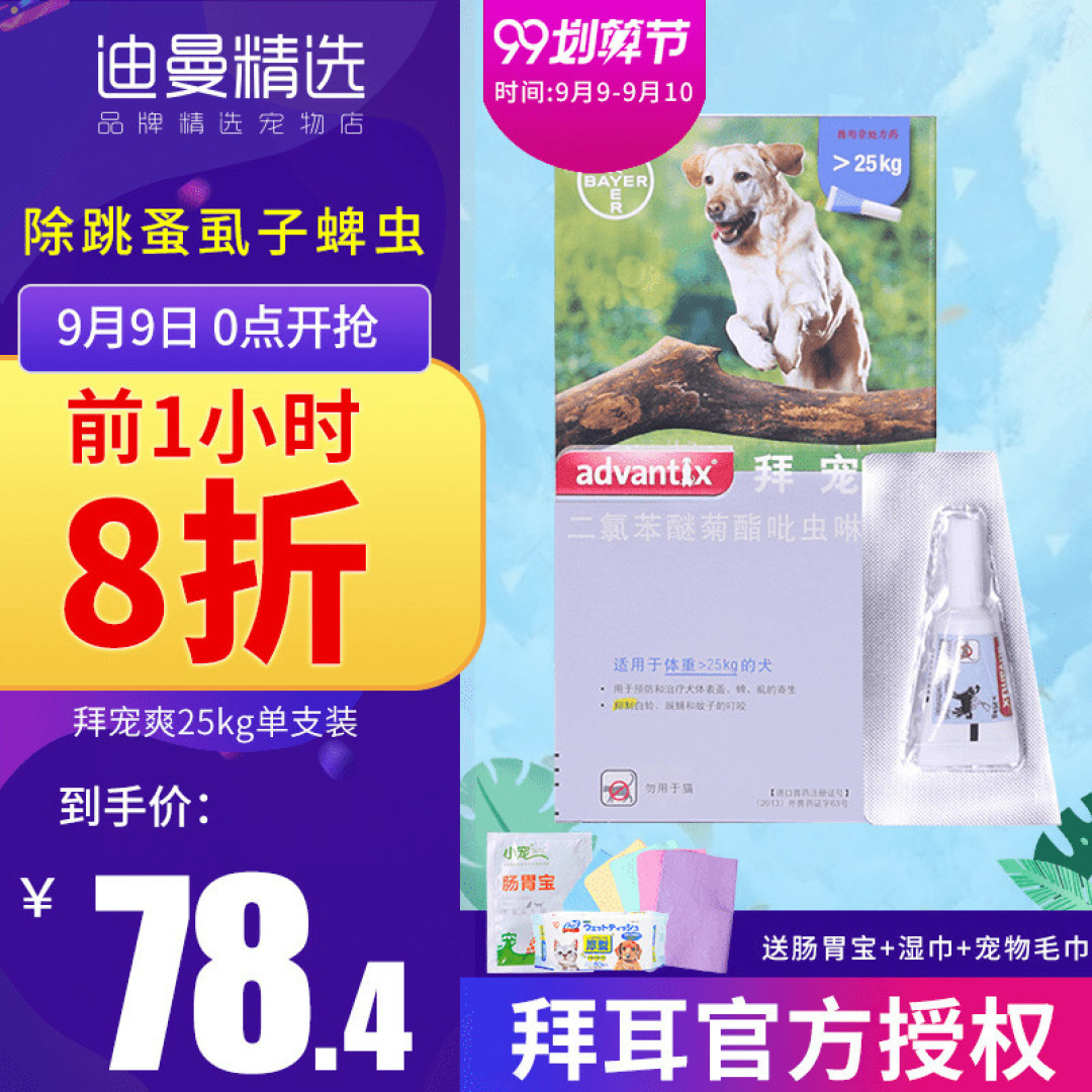 为啥人家狗子的体质辣么好?汪星人健康养护全攻略(附常见病及应对方式 文末有惊喜)