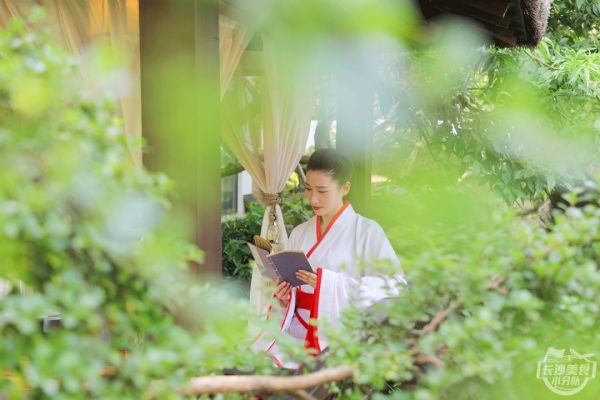 这款月饼想吃必须提前定,晴溪花了三年的时间来打磨