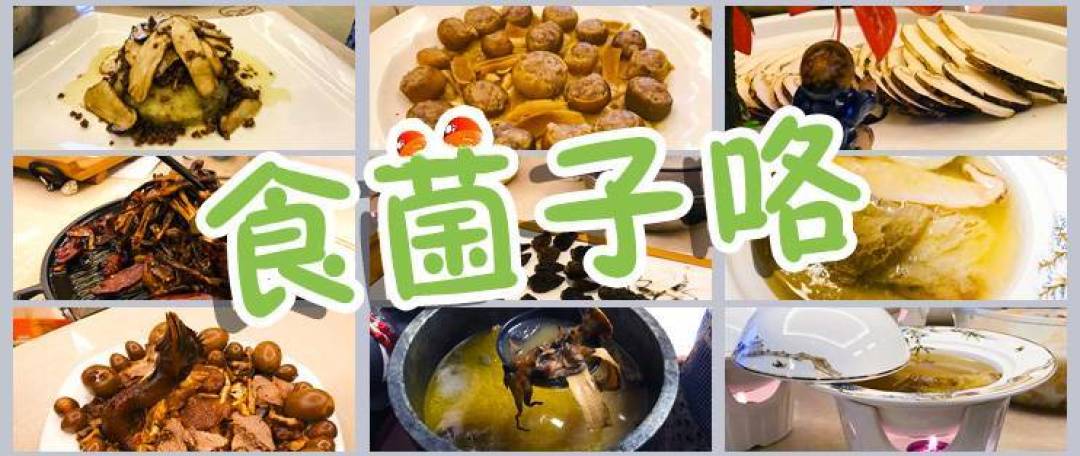 十一长假避人海,偏僻小城美食行