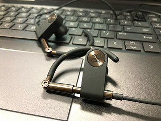 喜忧参半的B&O Earset