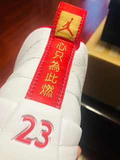 Air jordan 12 哎