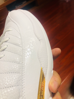 Air jordan 12 哎