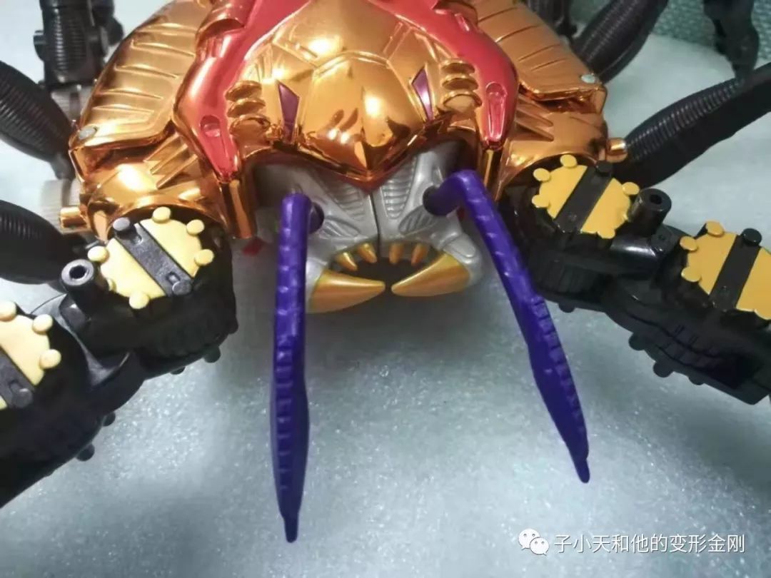 【评玩具】子小天：粑粑总测评《变形金刚 BW 原生体X狂飙，中秋节来两只大闸蟹？》