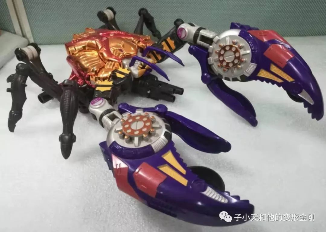 【评玩具】子小天：粑粑总测评《变形金刚 BW 原生体X狂飙，中秋节来两只大闸蟹？》