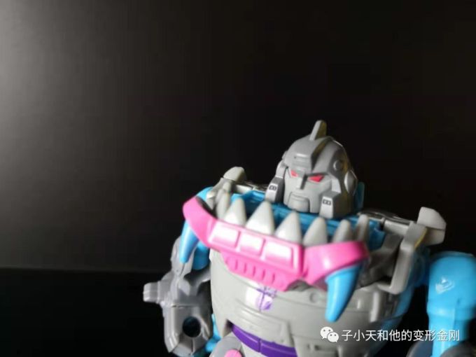 【评玩具】子小天:大果果测评《变形金刚 泰坦系列战戟和钢牙 小比例中的“好兄弟”》