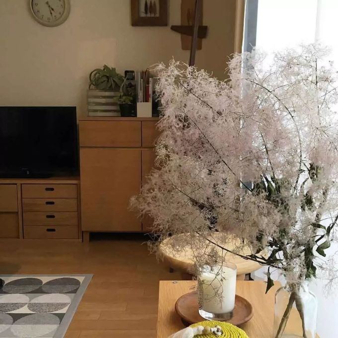 别中了天价宿舍的坑!日本女子宿舍这样改造,高颜更有治愈感:生活才有底气!