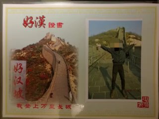 穿着七匹娃去旅行！