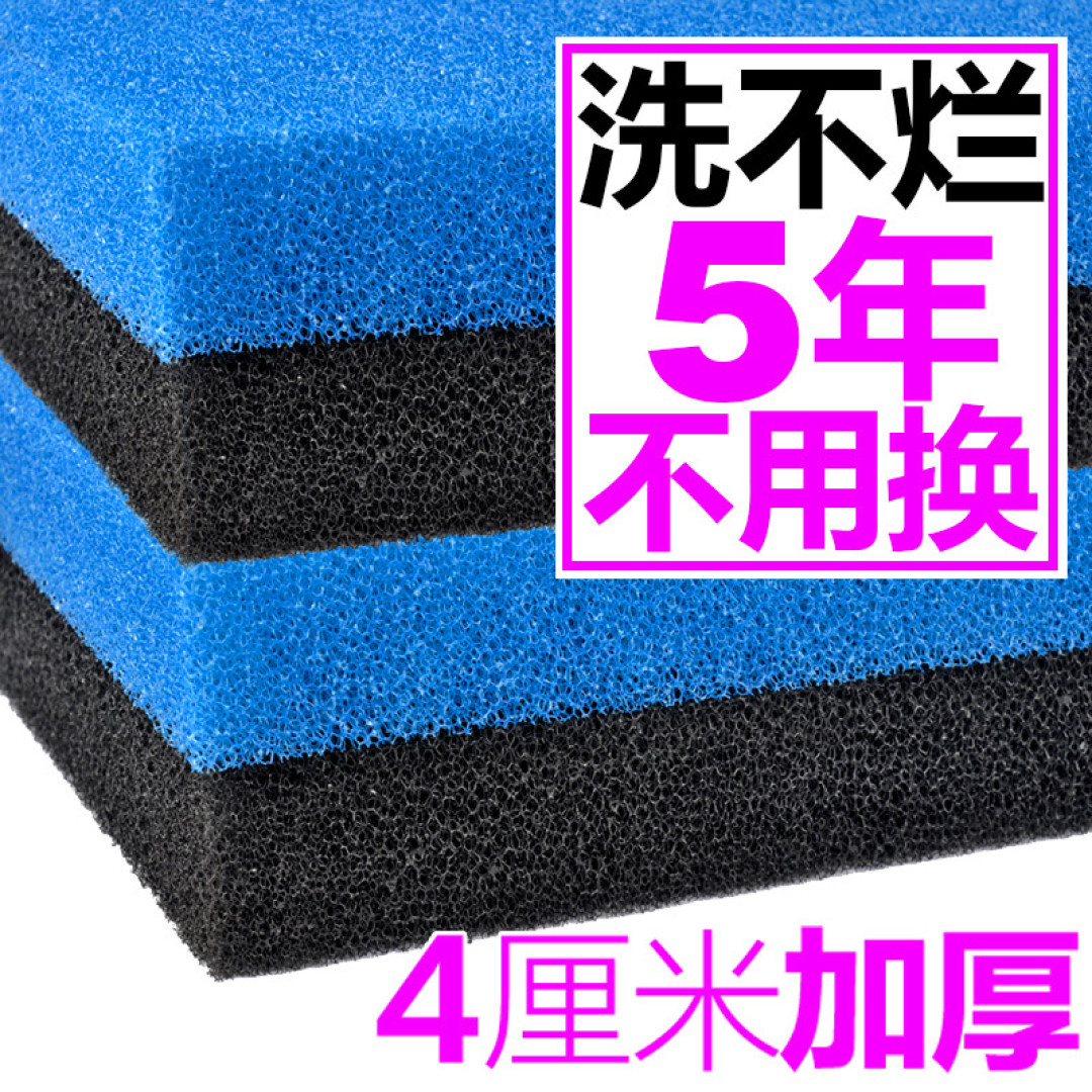 老司机带你玩转水族之养鱼入门篇