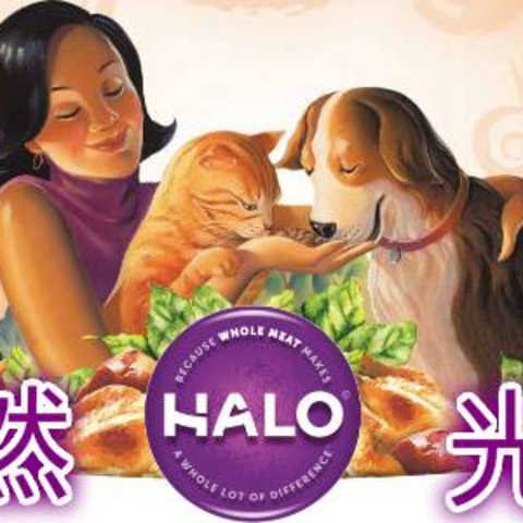 HALO自然光环主食猫罐头4口味横评