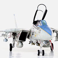 制作完成的1/48 田宫 F-14 雄猫战斗机模型