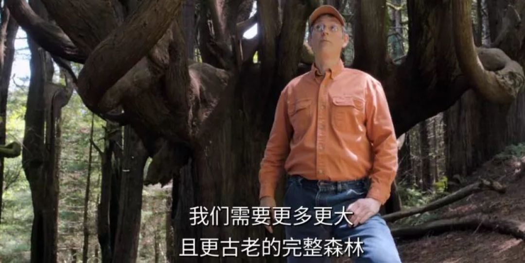 最近,让全人类为之心碎的两场葬礼