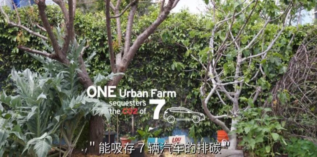 最近,让全人类为之心碎的两场葬礼
