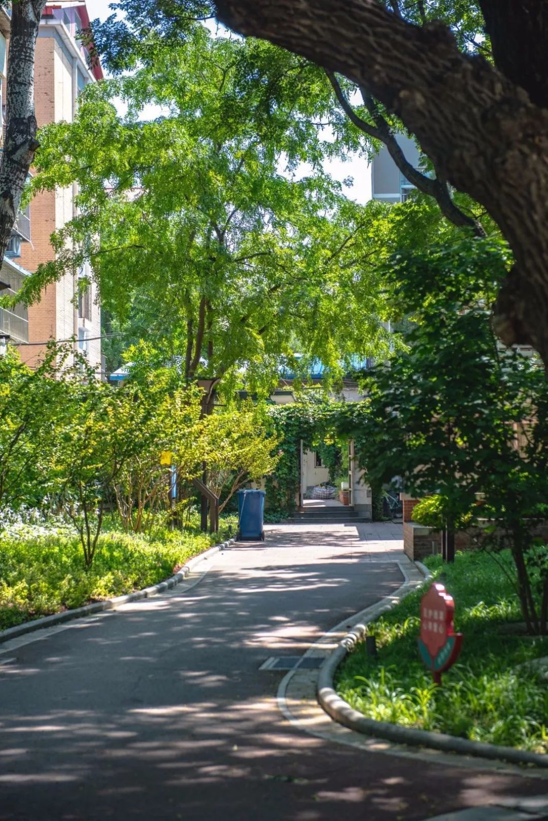 藏不住了!北京二环“寿星公园”,来这的人都吃了“蟠桃”?!