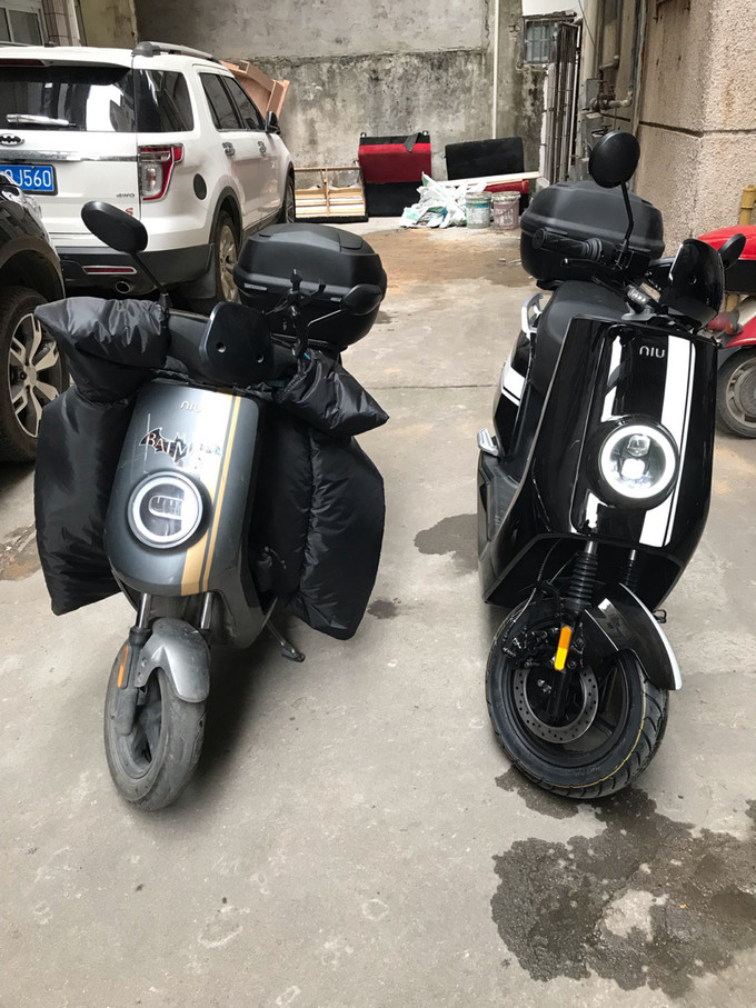 预定了大半年的小牛ngt开箱