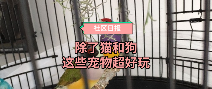 社区日报20191010：30岁“尴尬期”能帮父母做好的事之一，是替他们装修养老房。