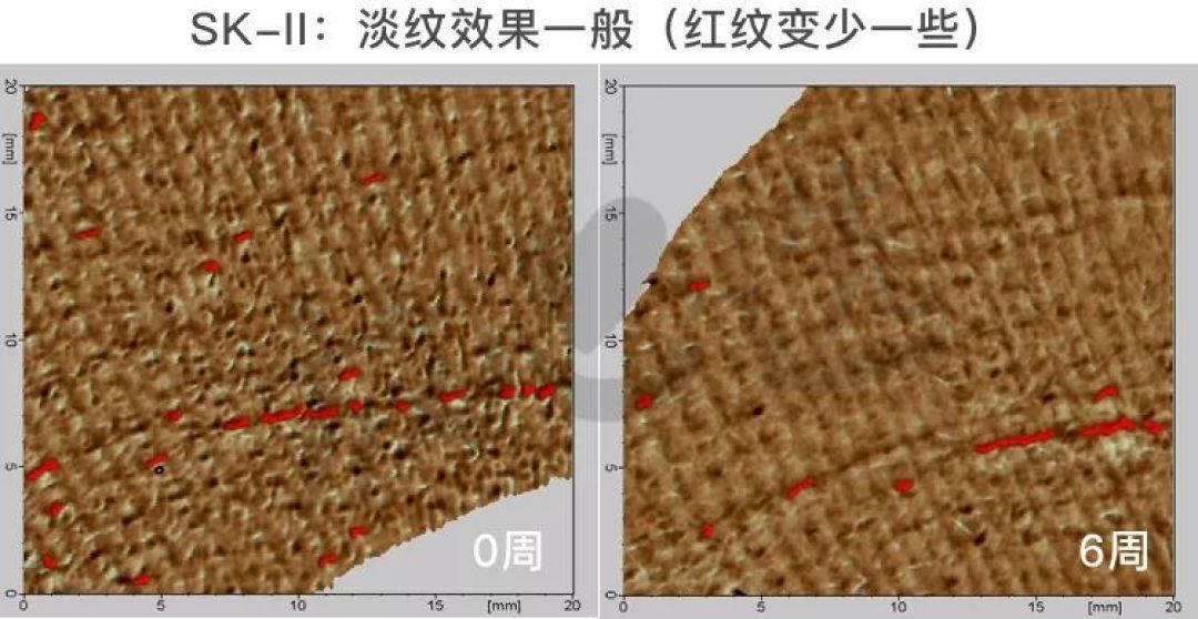 氪金15万评测5款抗皱面霜,SK-II大红瓶居然败给200块的它