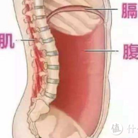 不运动不出汗随时随地可以练，这两个动作让你腰围小一圈