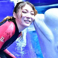 旅游攻略 篇二百八十一：国庆节带着孩子去三亚亚特兰蒂斯水族馆看白鲸，认识海洋世界