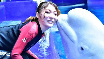旅游攻略 篇二百八十一：国庆节带着孩子去三亚亚特兰蒂斯水族馆看白鲸，认识海洋世界 