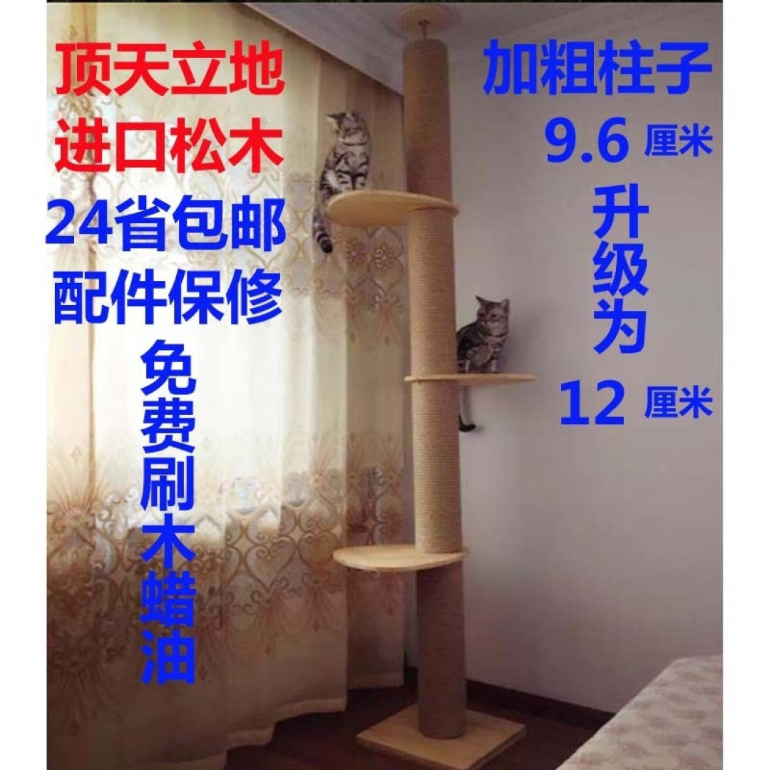 评测：千元级和万元级的猫实际使用体验如何？