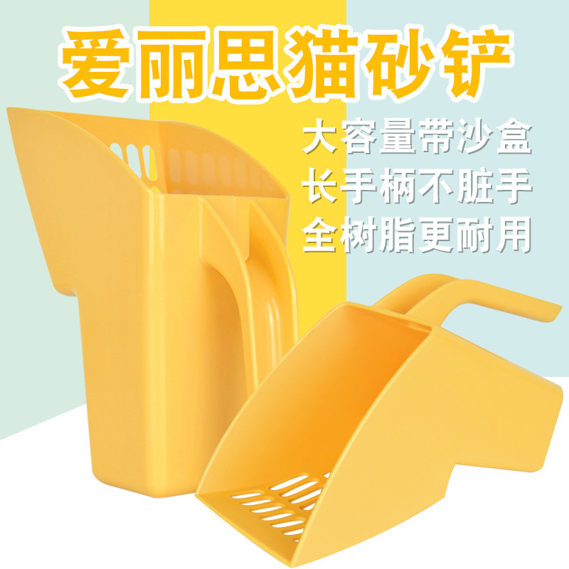 捡来的“绝世美颜”:流浪猫狮子的逆袭之路(最后多猫片慎入)
