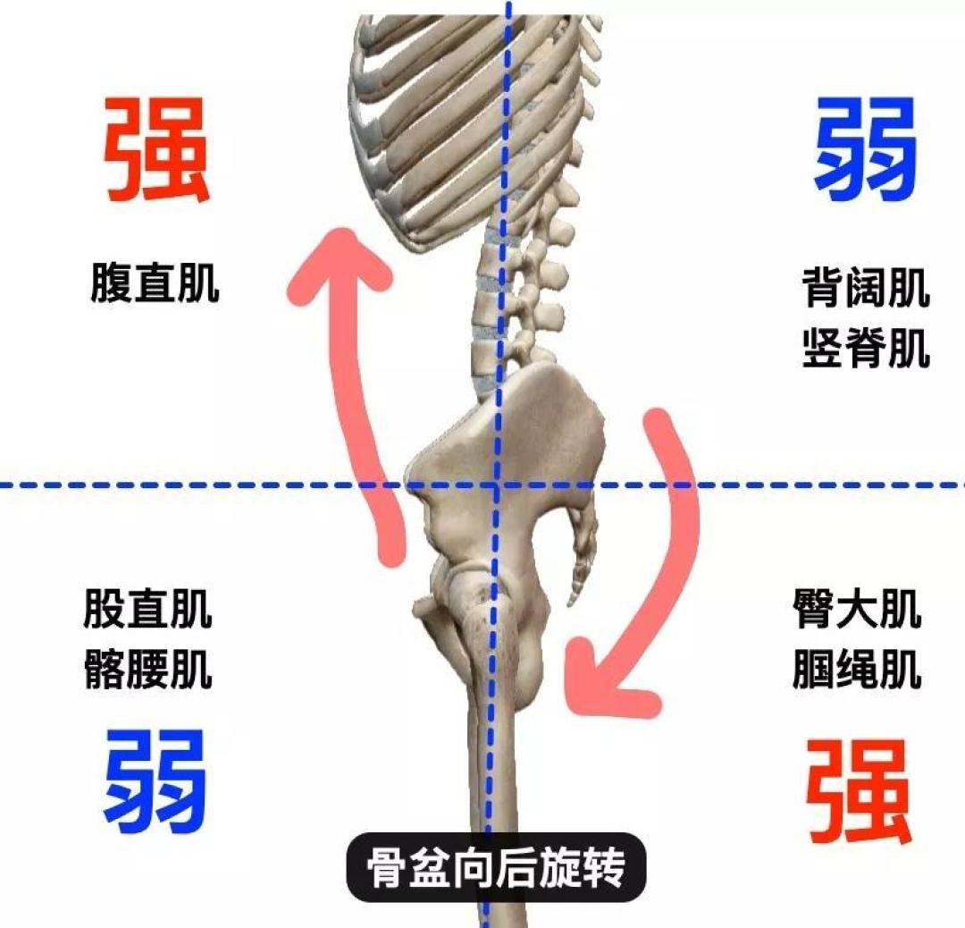 健身减肥小知识:普遍问题讲解——如何去除小腹赘肉