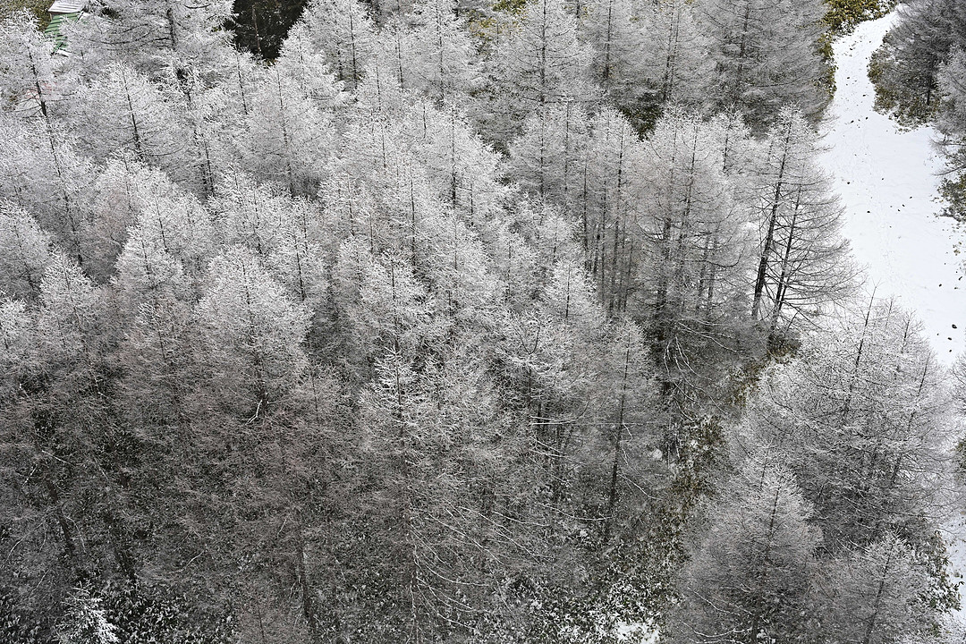 亮相一年终于发布，尼康手动对焦定焦镜头Z 58mm f/0.95 S Noct正式发布