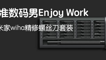 标准数码男Enjoy Work____测米家wiha精修螺丝刀套装