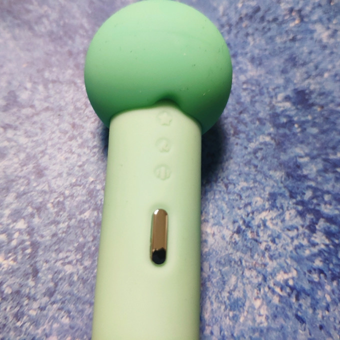 蒸面器