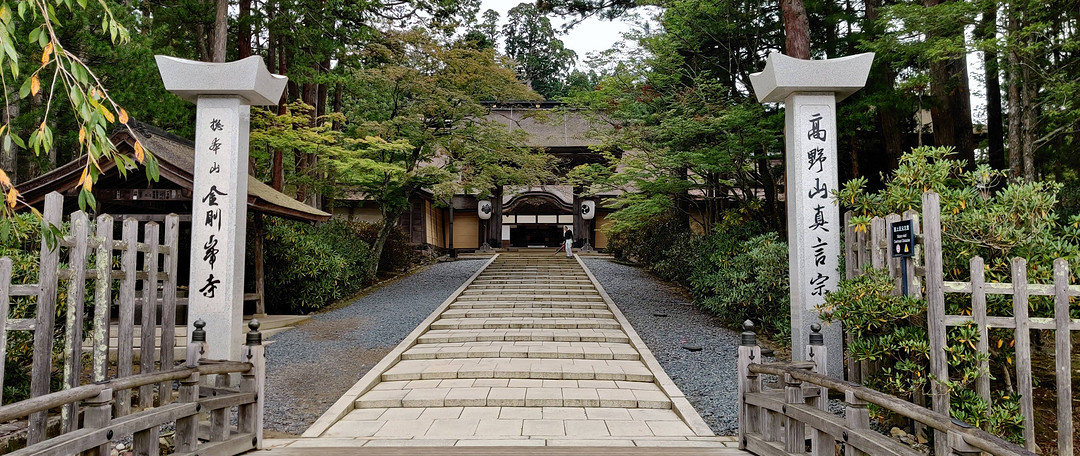 京都市内补全 岚山竹林探秘