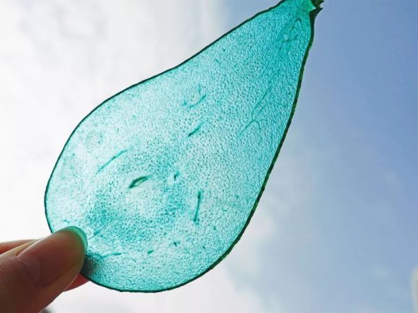 你永远不知道你的狗子为了一口吃的有多心机!