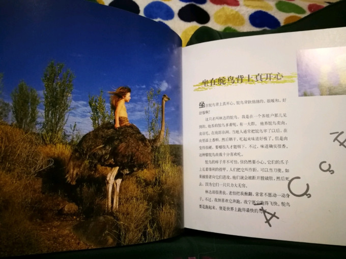 云南教育出版社绘本/图画书