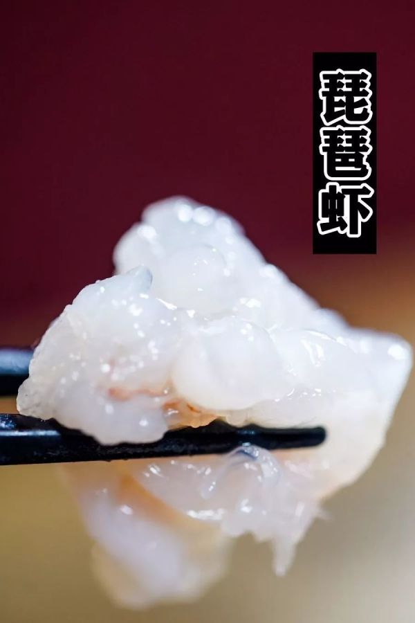 刺身之王「蓝鳍金枪鱼」,吃一口就回本!