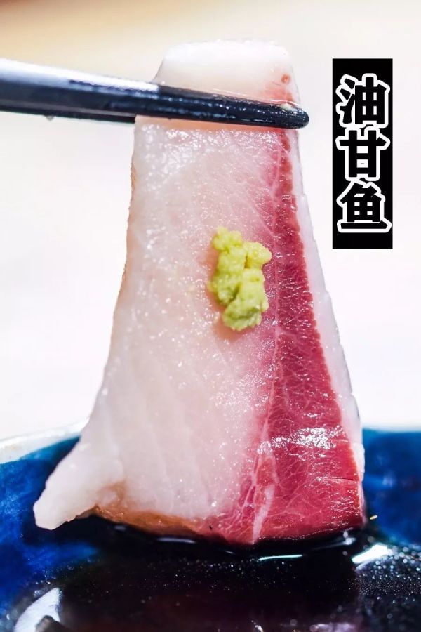 刺身之王「蓝鳍金枪鱼」,吃一口就回本!