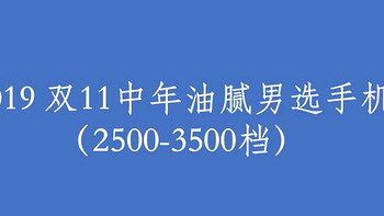 2019 双11手机怎么选购省钱攻略(屏幕|拍照|耳机孔|华为)